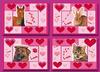 Ansichtkaarten Love animals 80 kaarten