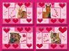 Grote ansichtkaarten Love animals 24 kaarten