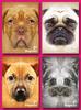 Grote ansichtkaarten Dogface 24 kaarten