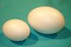 Polycel eieren 60mm 10 stuks